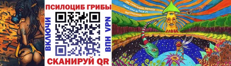 MEGA ONION  даркнет как зайти  Псилоцибиновые грибы Psilocybe  Тайшет 